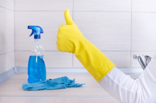 Deep cleaning equipment used for pet odour removal in Waddon