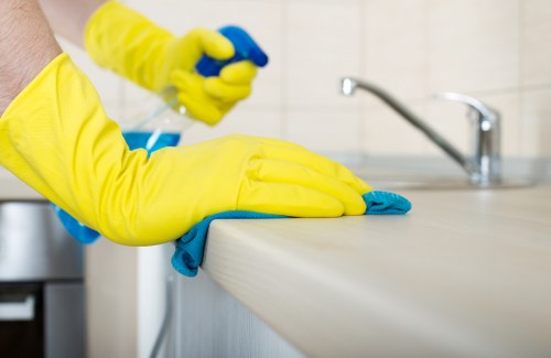 Enzyme treatment for pet stains on upholstery in Waddon