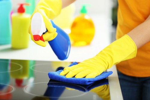 Deep carpet cleaning equipment in a Waddon home