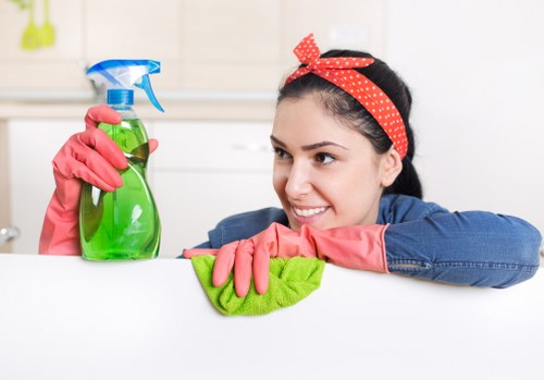 Safe and careful carpet cleaning process for Waddon properties