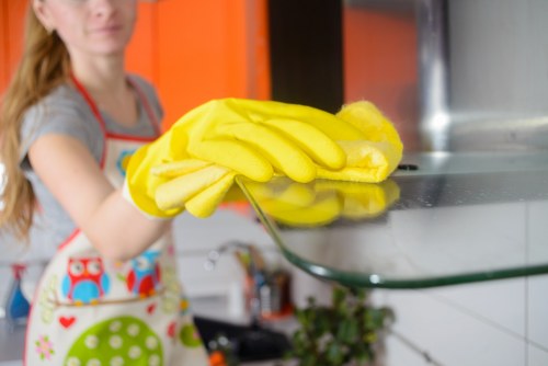 Close-up of upholstery cleaning tools for Waddon homes