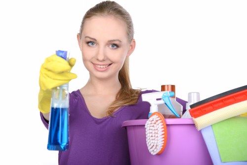 Steam cleaning carpet fibres in Waddon